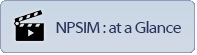 NPSIM : at a Glance